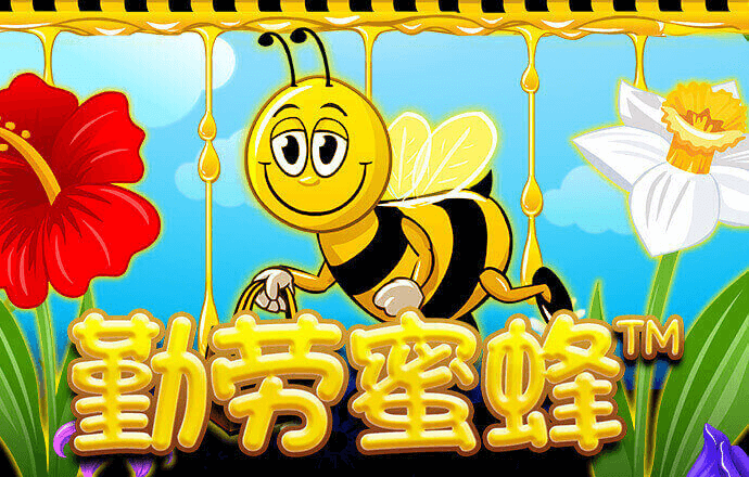 赛酷体育平台